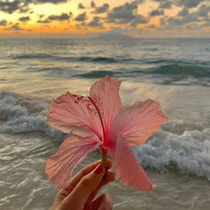 Meet your Posher, Diana